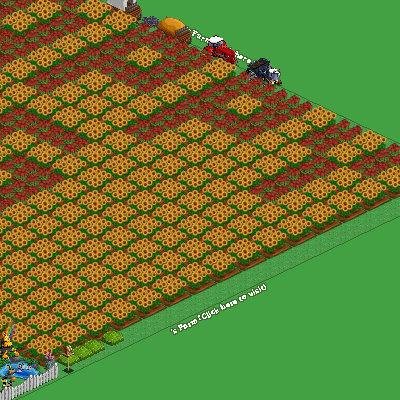 David Kendall's album, FarmVille Photos