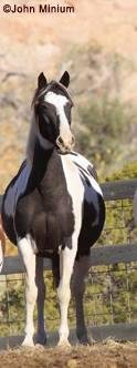 michael block's album, Timeline Photos