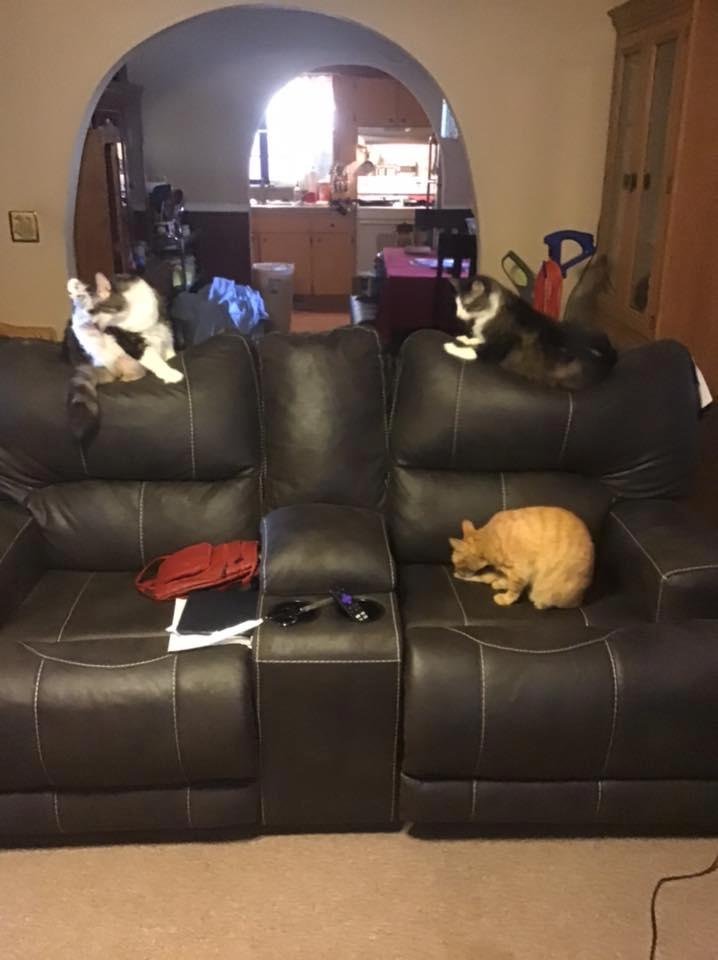 My new couch