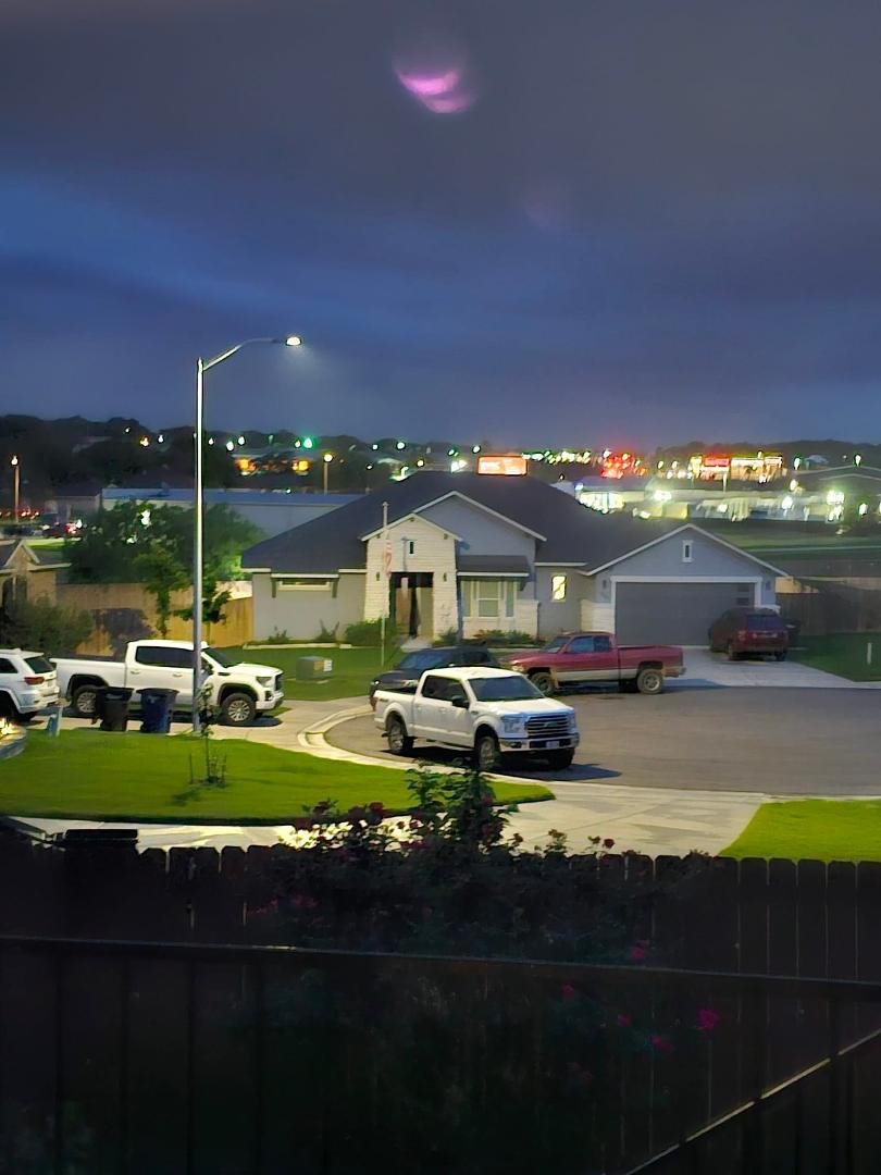 A view out my back door to my back yard. It is amazing living on a hill...