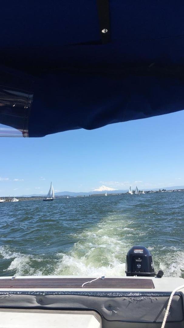 Social distancing on the Columbia river.