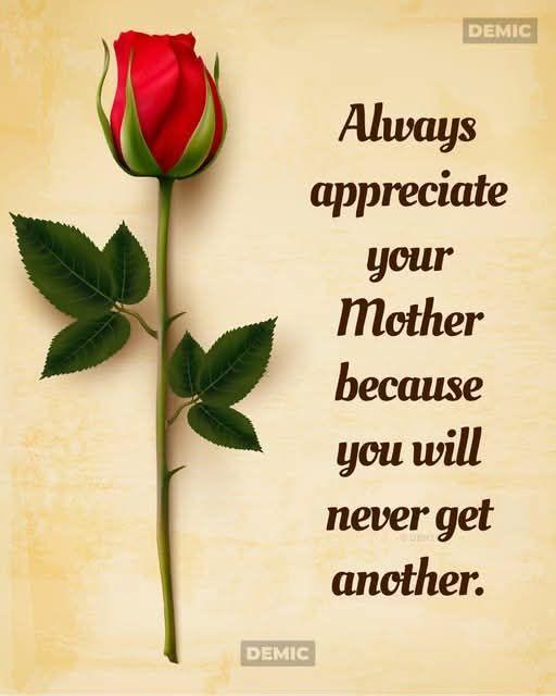 Sheryl Duff's album, Timeline photos