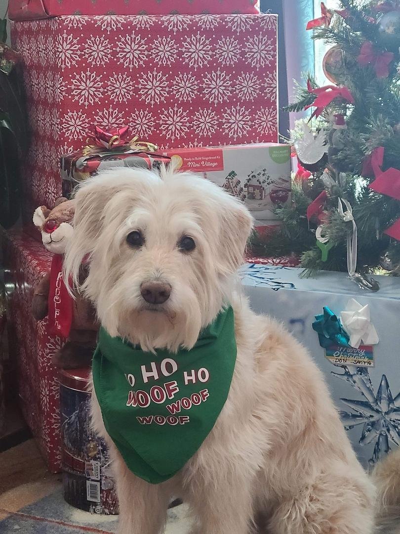 Ready for holidays.