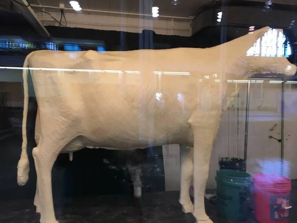 Full size cow made of butter. 2017 Iowa State faiSTr. Standard at fair since 1950's
