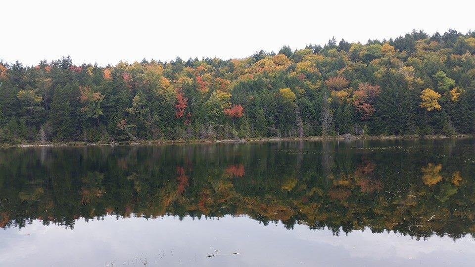 More color from NH. The diversity of colors creates a beautiful picture.