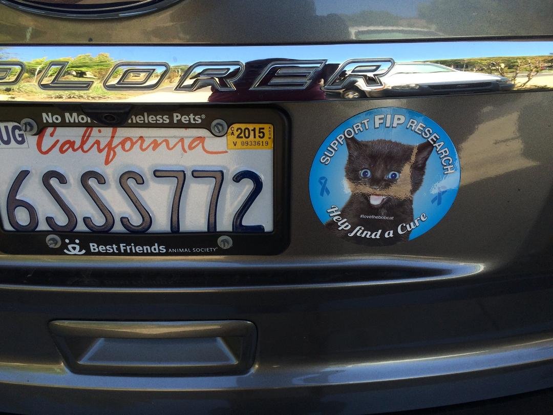 BobCat is in Northern California riding along on Ssssssnake.