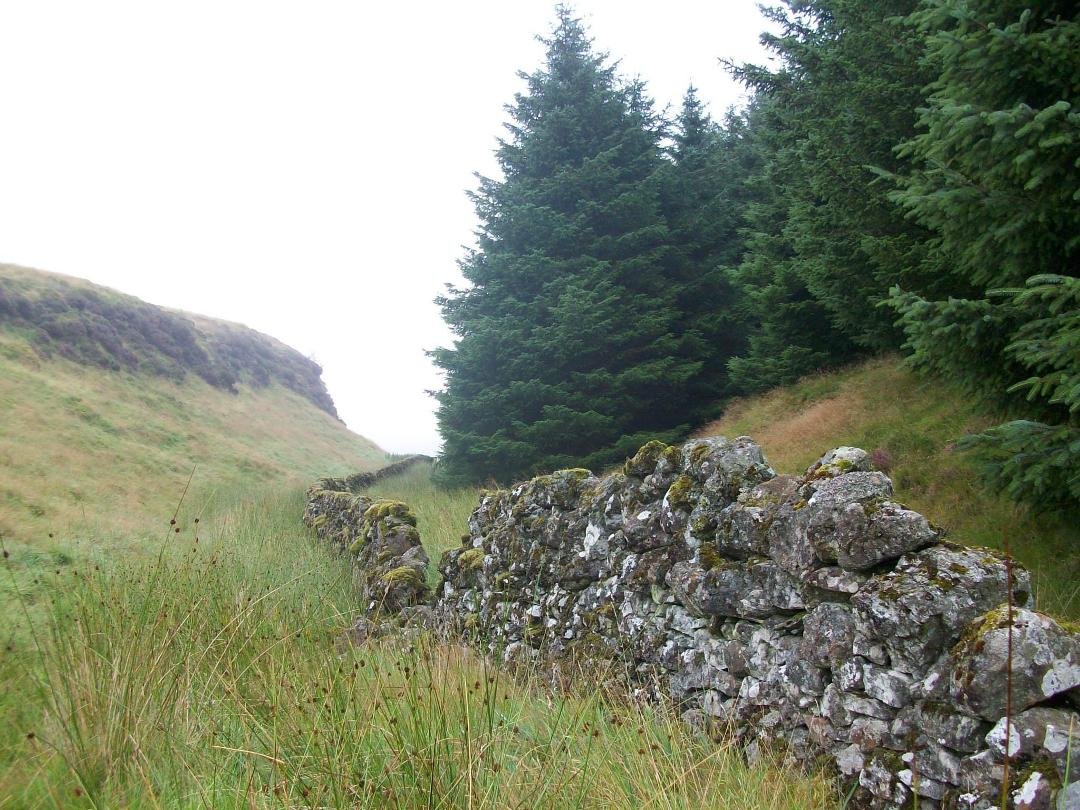 Glen Ritchie's album, Misty Day In The Hills!
