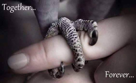 John Bacon's album, Timeline photos