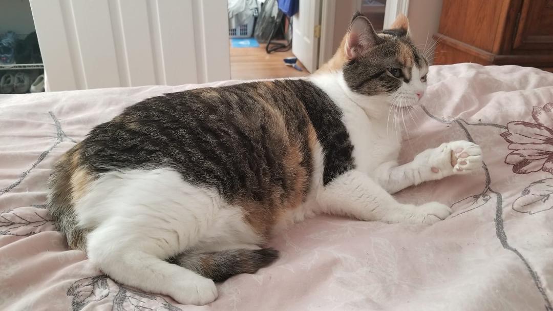 Cali is a rock even battling cancer