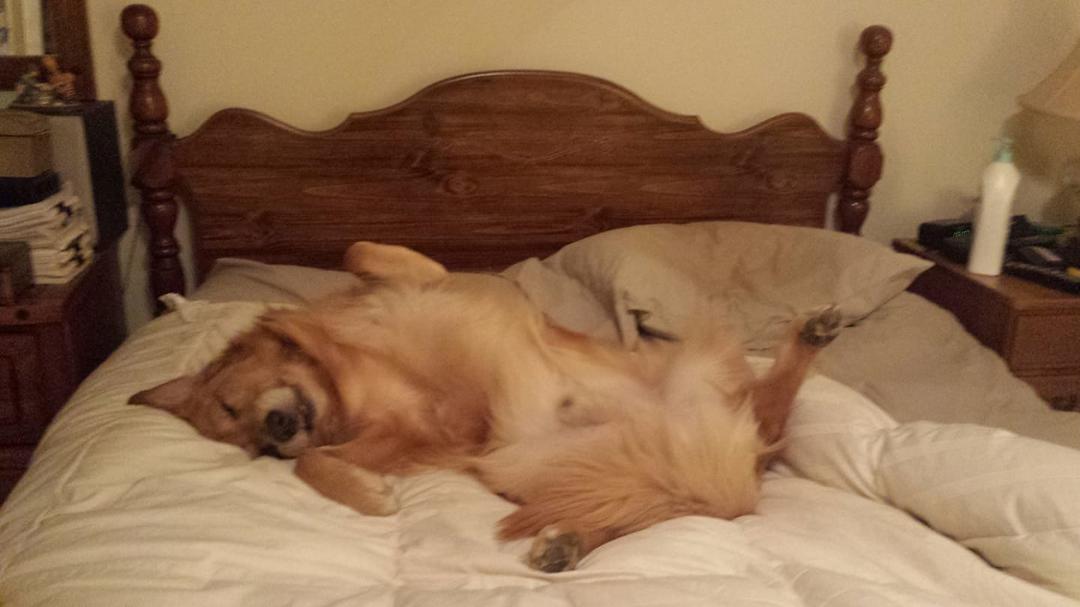 Lil' Nelson had a bit too much Jamesons last nite on NY-EVE.