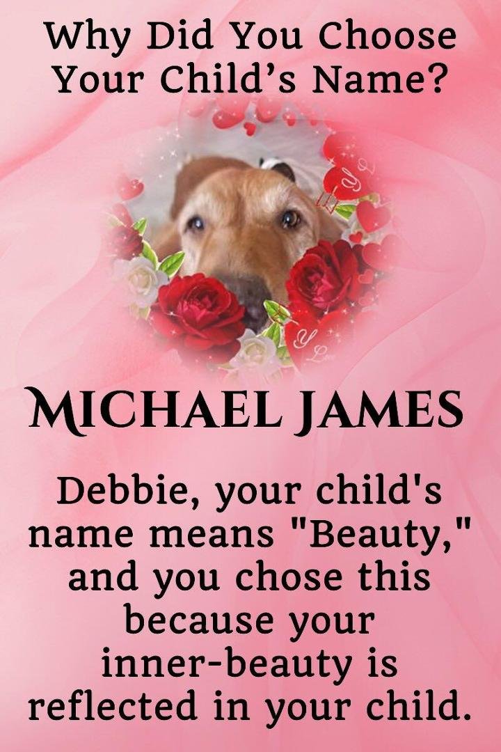Deborah Huffman-Lee-Kaan's album, Timeline Photos