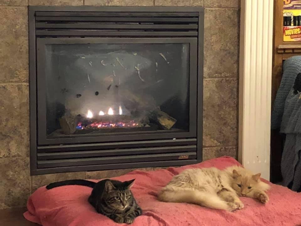 When it is cold outside a fire is nice!