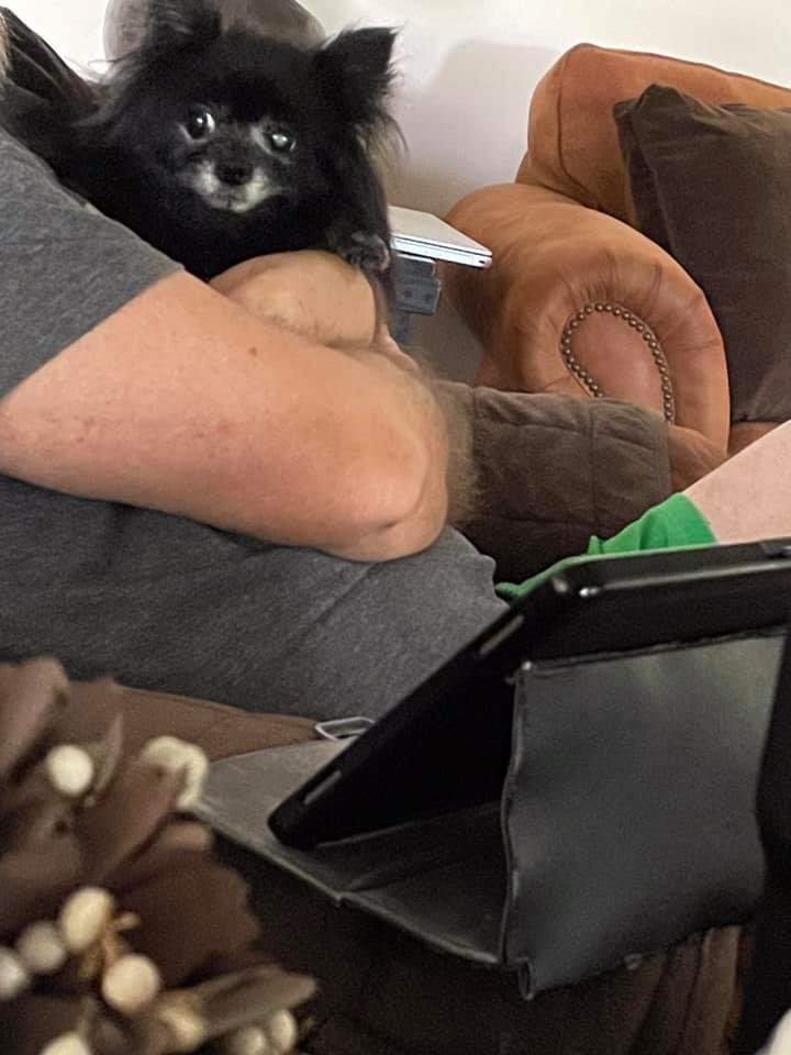 Daddy’s girl! But, you can tell that she’s worried about what Mom is doing.