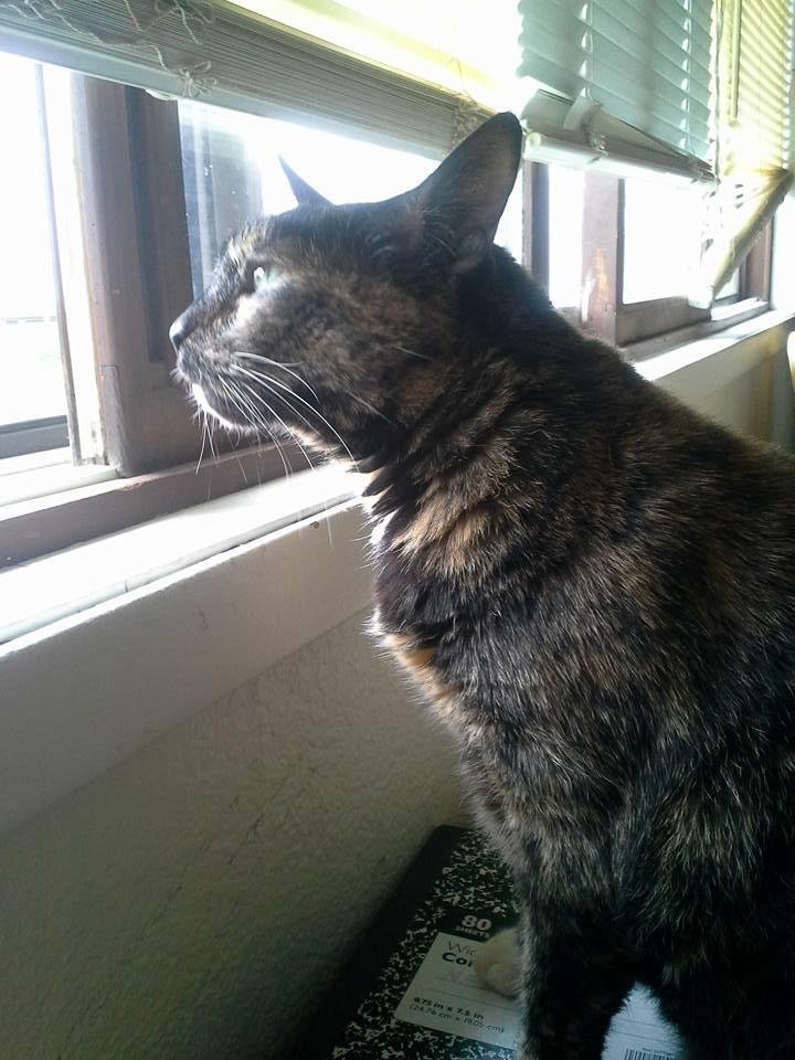 My girl checking out the smells outside.