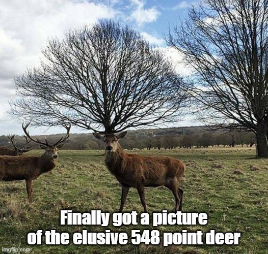 Rob (Rocky) Georgen's album, Timeline photos