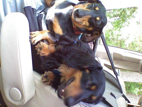 Diane Malpass' album, Timeline Photos
