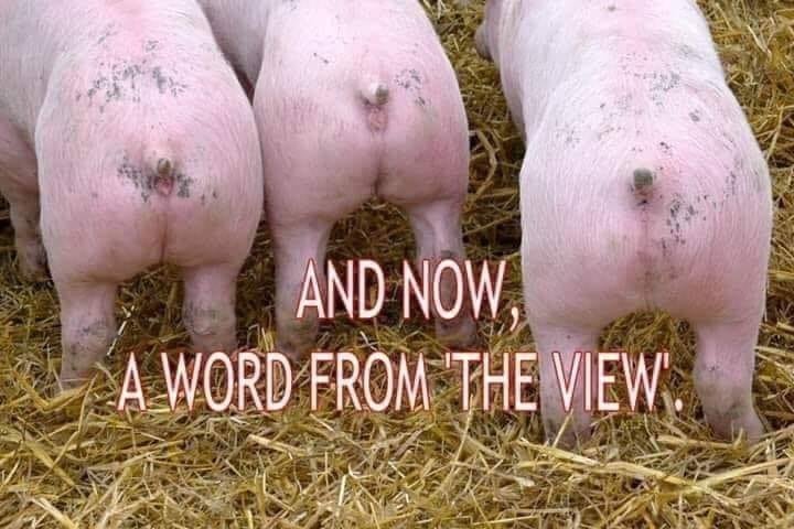 😂😂🤣🤣🤢🤢🤮🤮