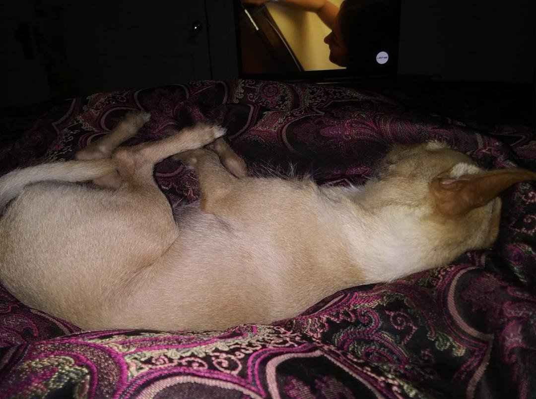 This is what you call spoiled.