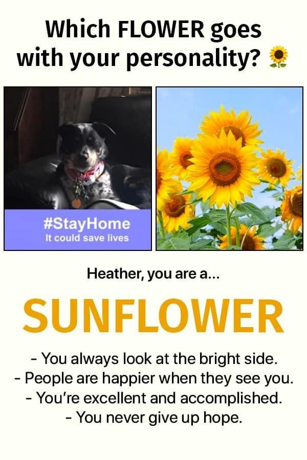 Heather Sargent's album, Timeline Photos
