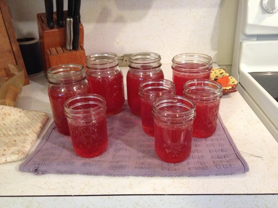 Sandhills plum jelly