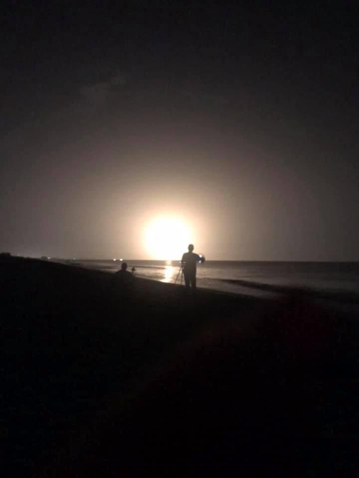 Terry Miller's album, Mobile Uploads