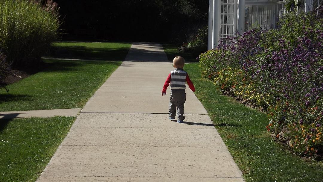Every now and then he turns to make sure i am still behind him