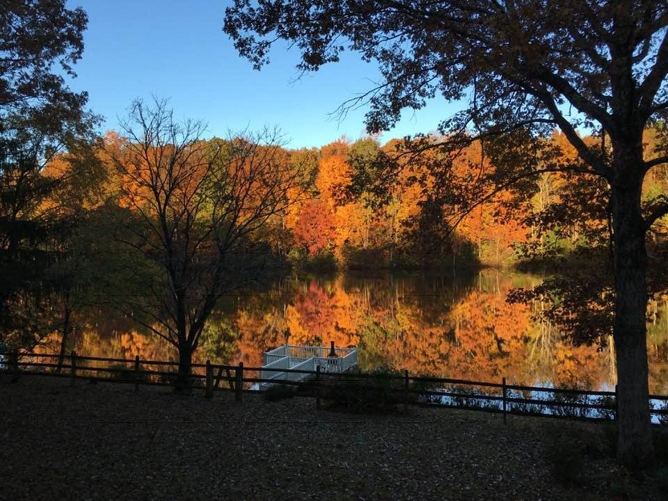 Finally, Fall has arrived with all all it's glorious palate of color. Only about 3 weeks later than normal.