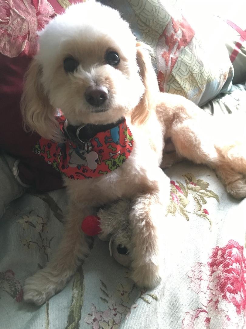 Fred Astaire, also known as Freddy, Frey, and "Jet," since his big brother is Benny (Ben named after Benjamin Franklin) aka his BF:)
4 today 4/1/16