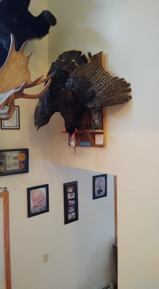 John Lozinski's album, Mobile Uploads