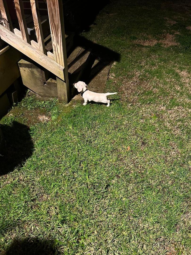 Robert Cobia's album, Mobile uploads