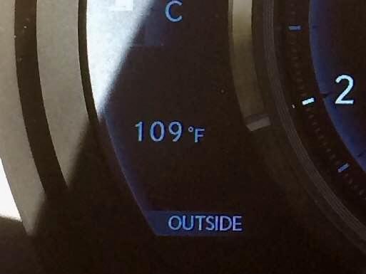 I didn't think we would ever see this, just 4 miles from the beach.....