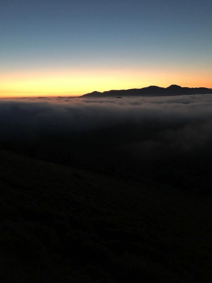 Bill Alter's album, Mobile Uploads