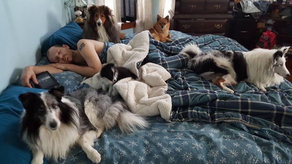 This has become my life and usually you see the sable hunter with his head resting on my head