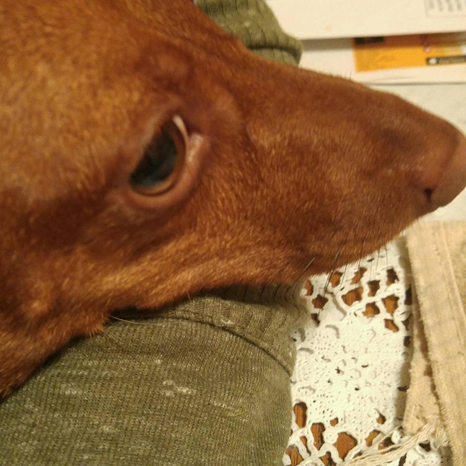My baby Jenny