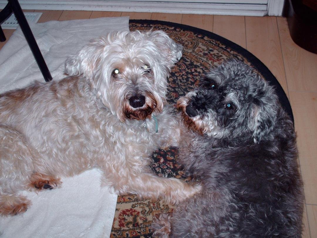 My sweet babies!