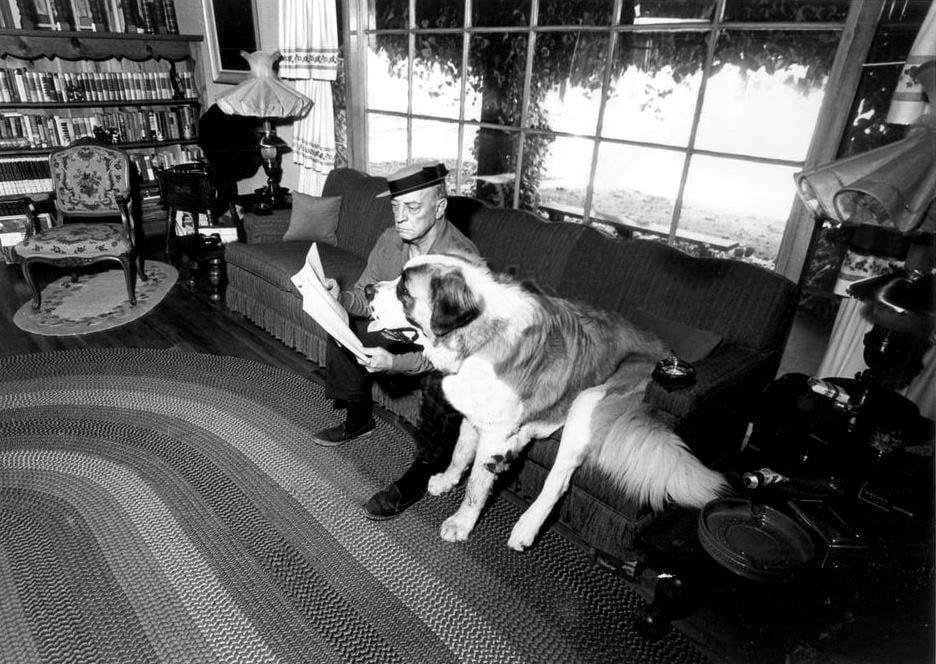 Sometimes a photo can just make me happy out of any context. This is such a picture. My kitten's namesake and a big beautiful doggie.