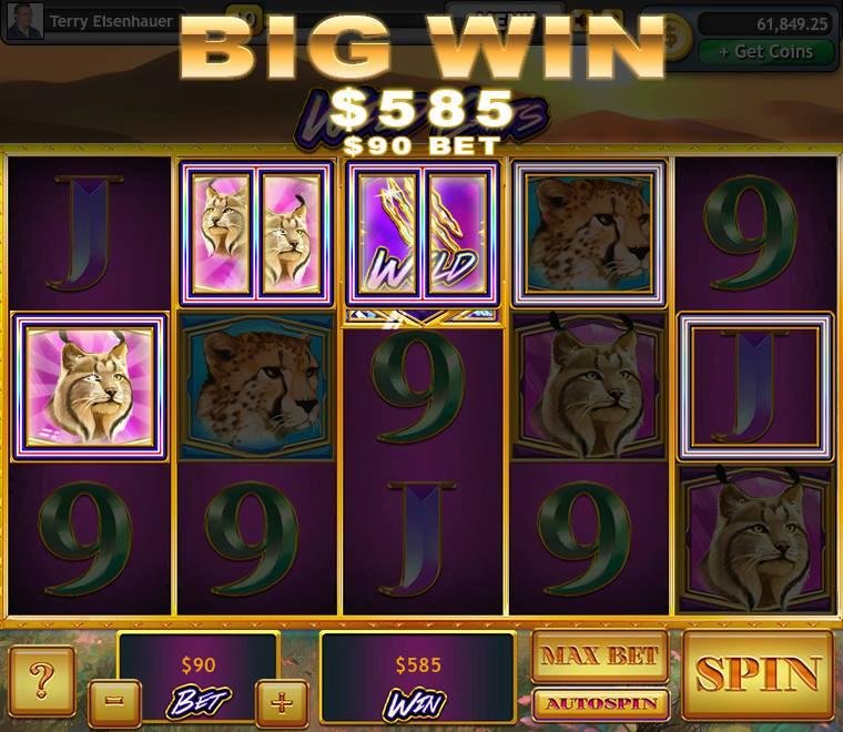 Terry Eisenhauer's album, Lucky Slots Photos