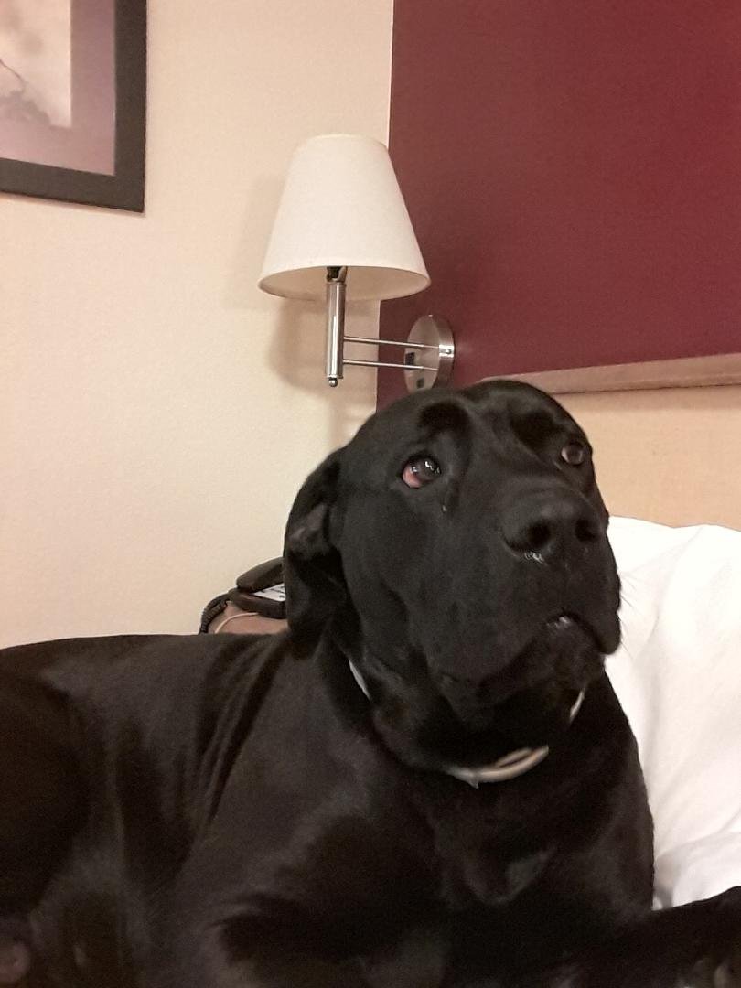 My main man diesel & I are getting ready to Pack it in for the night!