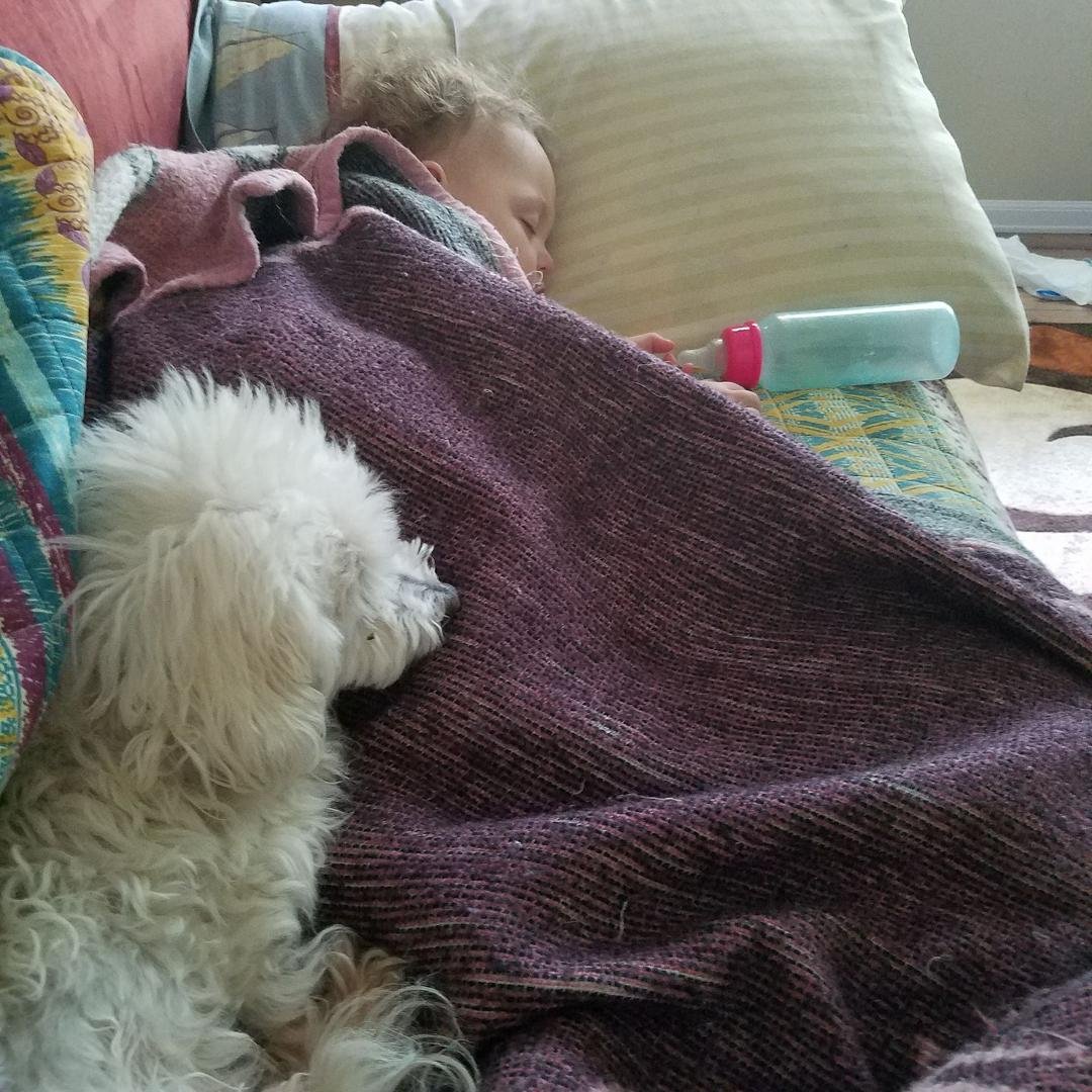 PJ's new friend...