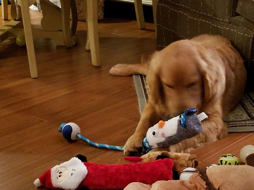 It's been a doggone good Christmas!!!!