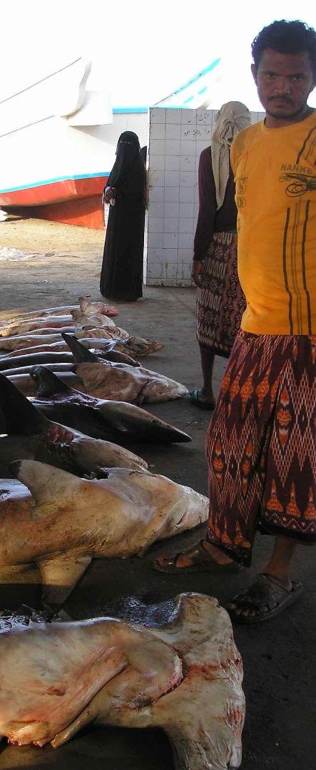 The woman in the background was the only other woman I saw at the fish market.