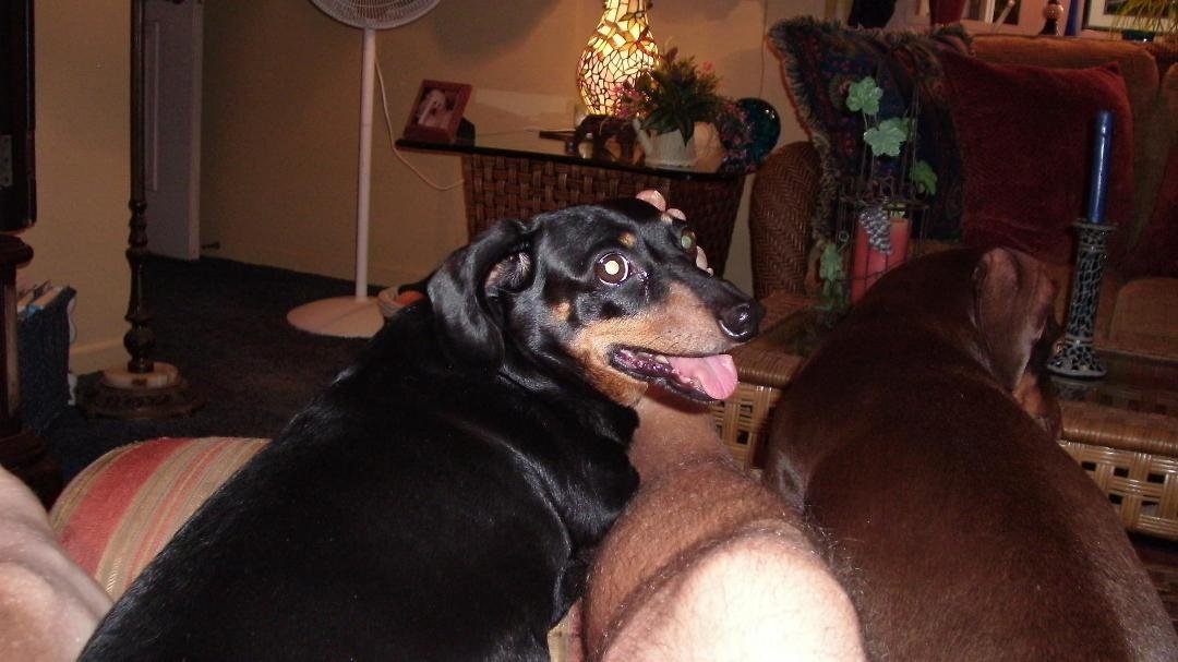 Ken Full's album, Timeline Photos