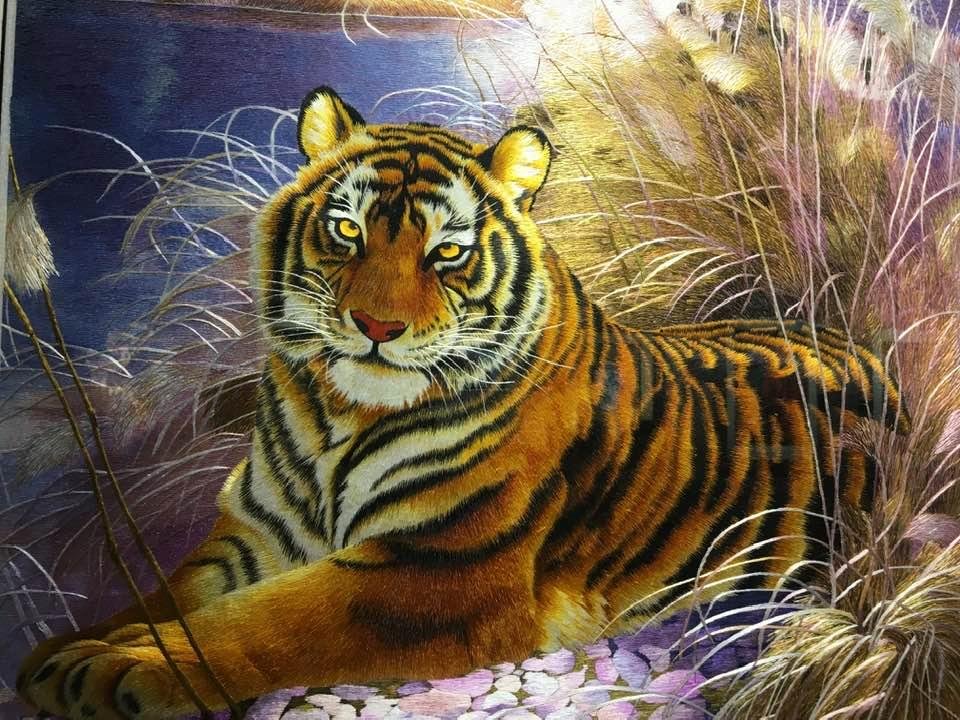 Year of the Tiger