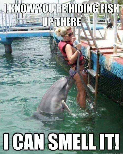 Smells like  Crappe