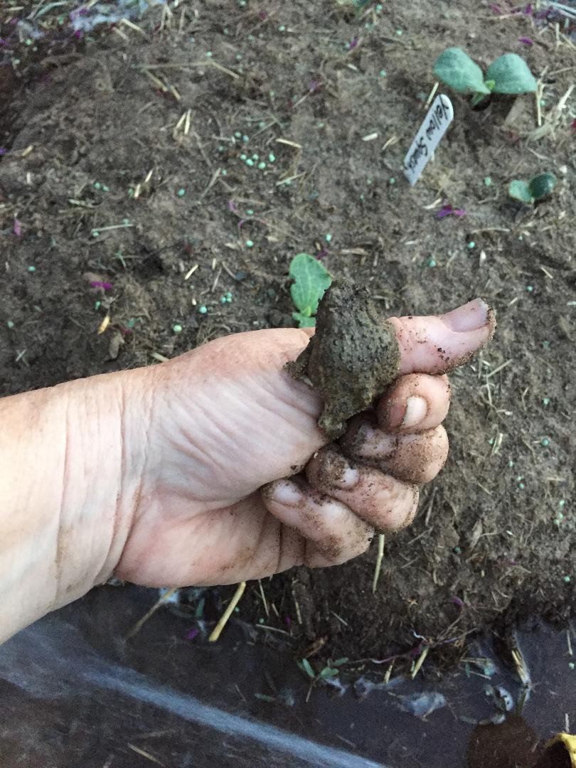 Seeds to plant $75
Garden tools $100
Fertilizer $50
Water bill higher every month
Reliving childhood memories while playing in the mud and catching frogs ...... PRICELESS. :)