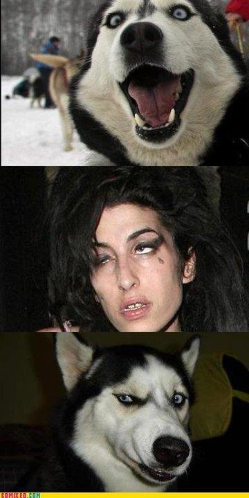 Diags are good jusdges of character (see photo)!