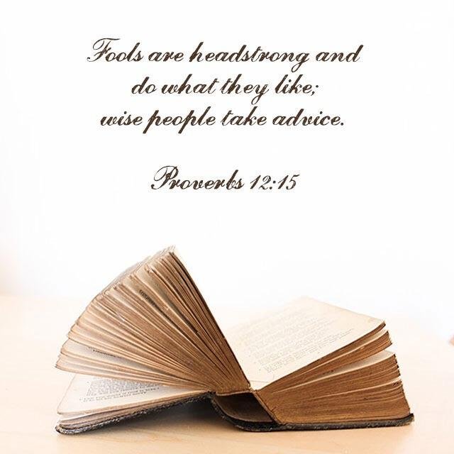 Shirley Wood's album, Timeline Photos