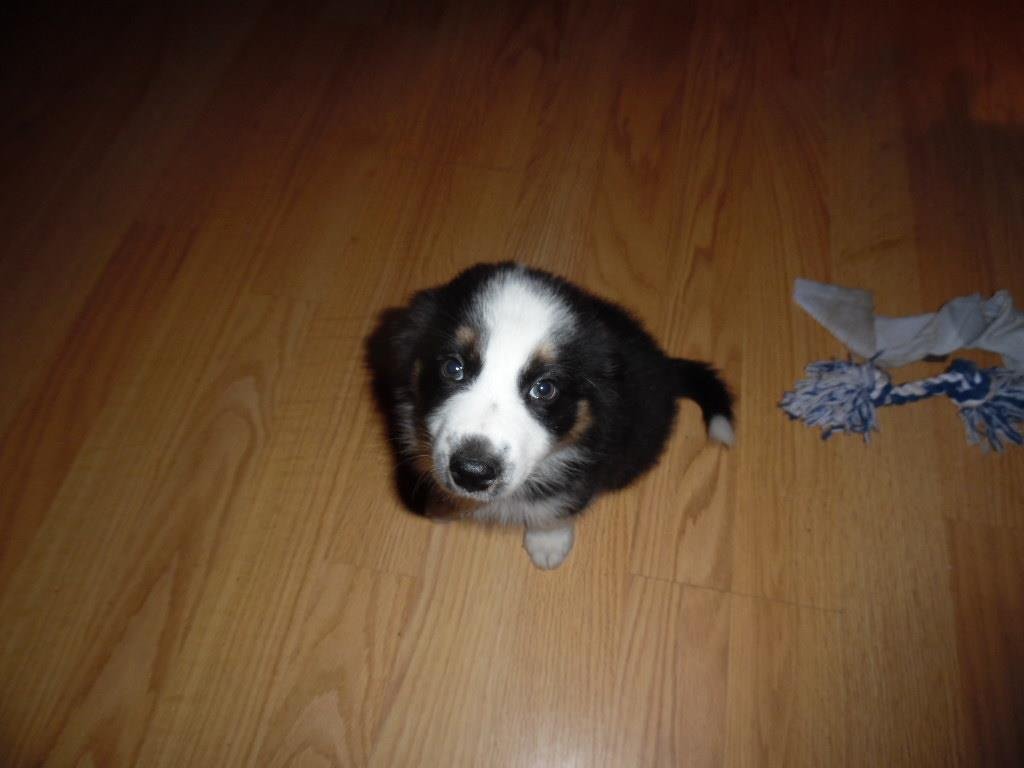 William D Modlin Jr's album, Samsung Smart Camera