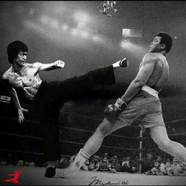 YOU CAN CALL IT THE ART OF FIGHTING WITHOUT FIGHTING