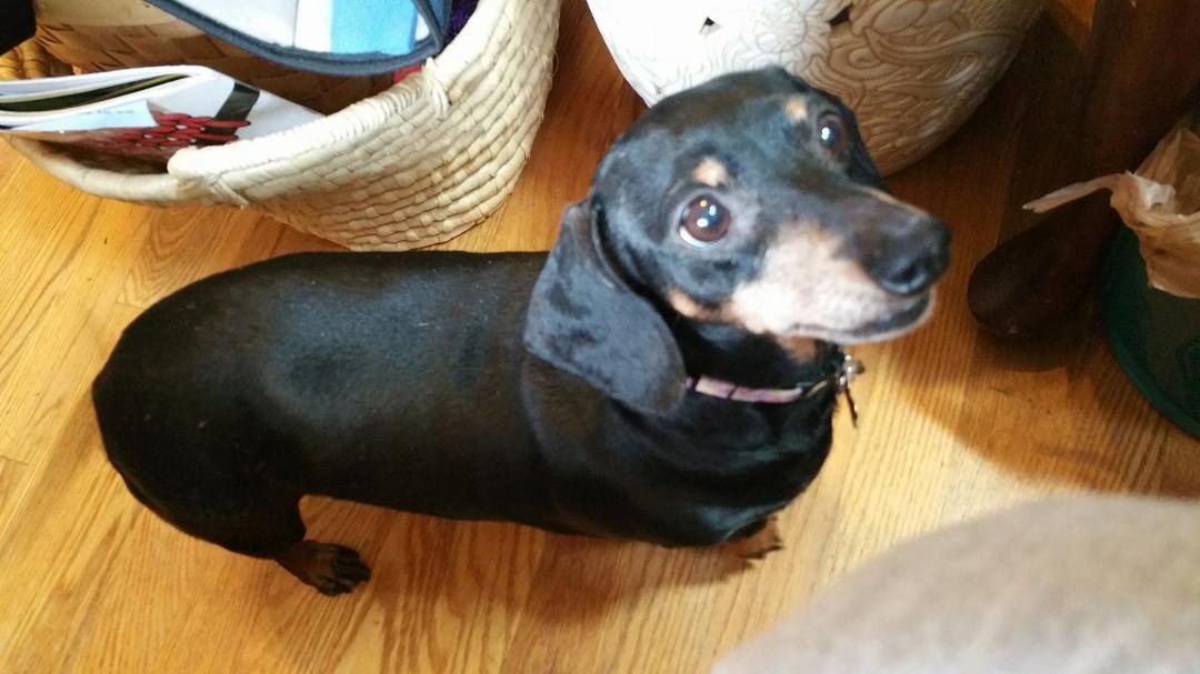 Mom do I smell bacon
